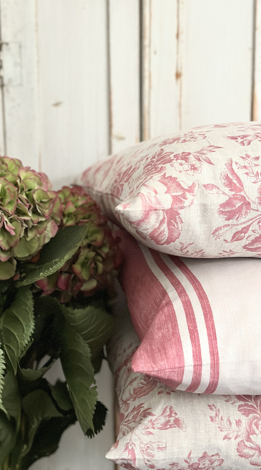 Paris rose cushions